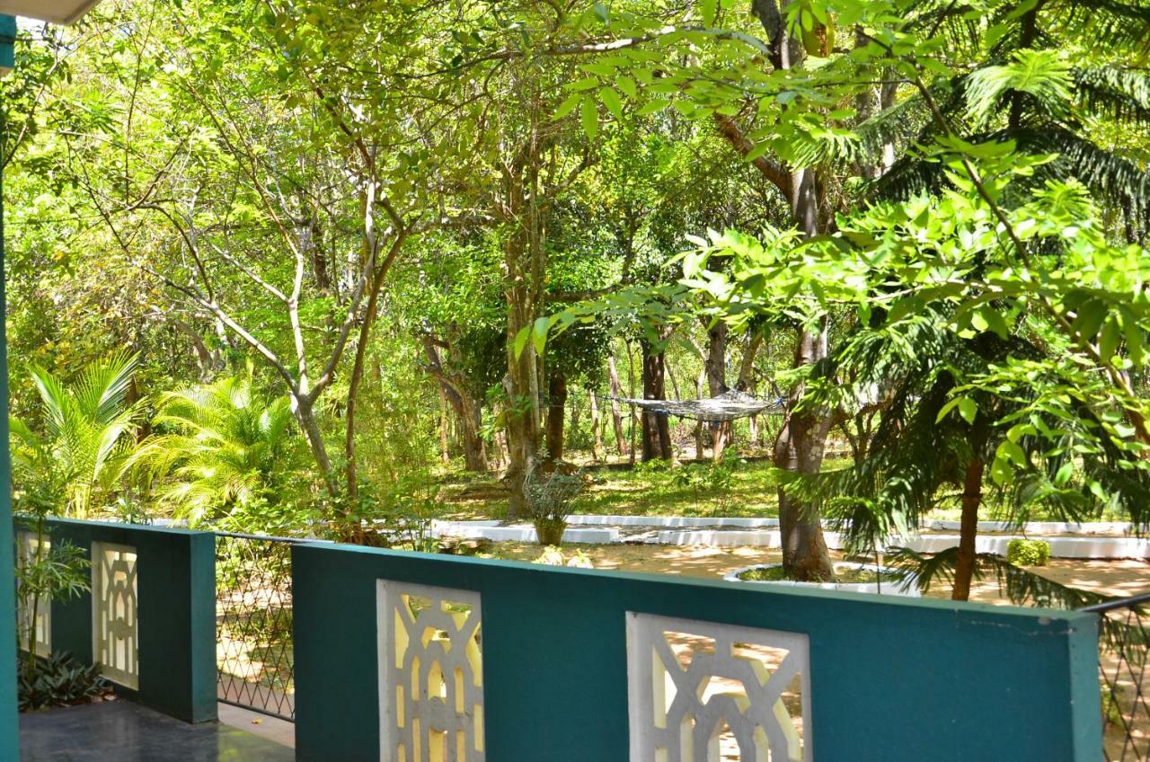 The Lion Rock Hotel สิกิริยา ภายนอก รูปภาพ